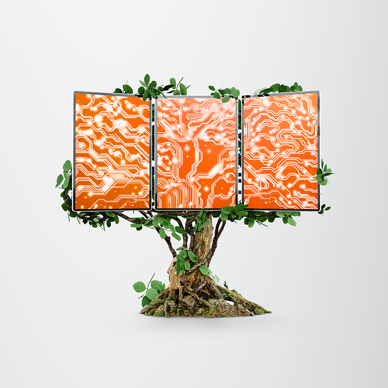 MIC_2